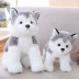 Honeyway Hailiwei mô phỏng Husky búp bê sang trọng đồ chơi chó con chó hai ha búp bê búp bê nhỏ - Đồ chơi mềm gấu bông totoro Đồ chơi mềm