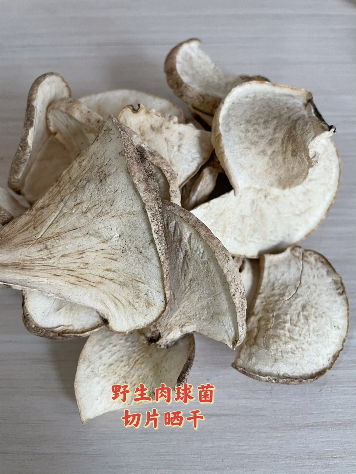 野生肉球菌新货竹生肉球菌戈茨肉球菌竹球菌云南竹菌，竹球菌-图1