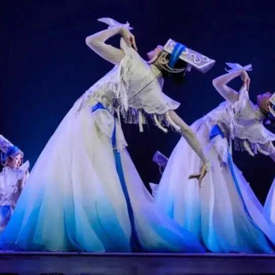 中国舞蹈荷花奖云上女士羌族舞台表演演出服装成人少数民族大摆裙