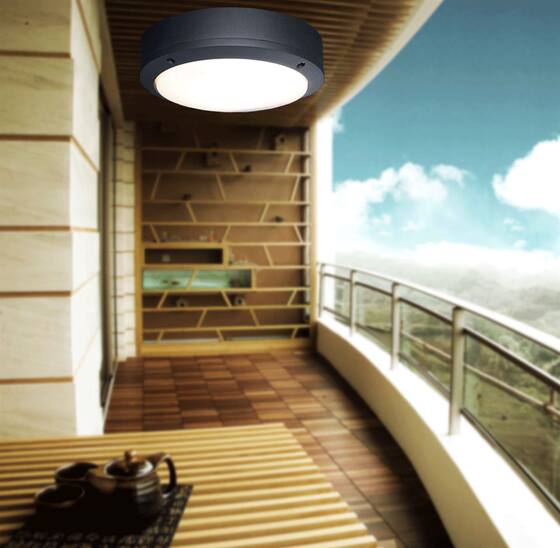Waterproof villa sunroom induction ceiling light