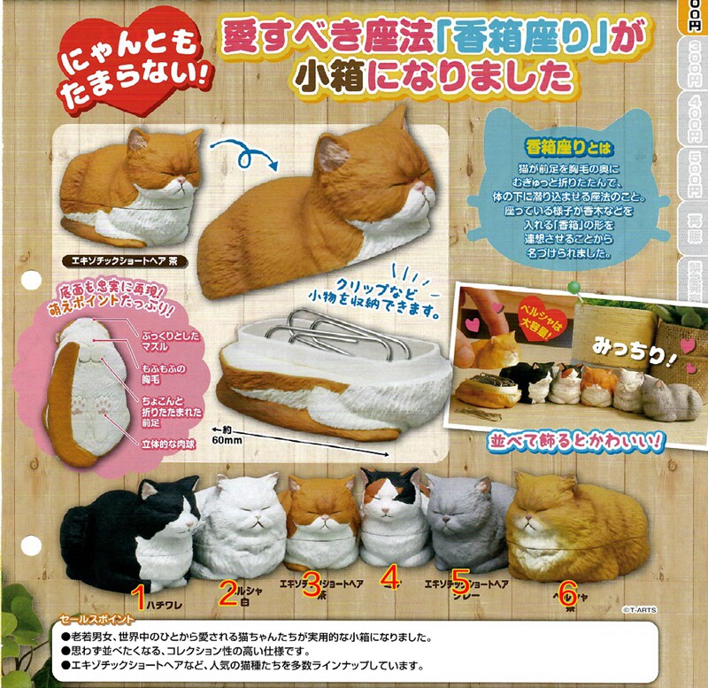 种猫-新人首单立减十元-2021年7月淘宝海外