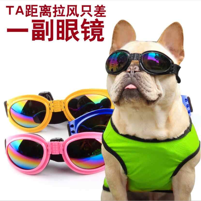 犬用眼镜狗 新人首单立减十元 21年9月 淘宝海外 犬用眼镜狗 新人首单立减十元 21年9月 淘宝海外