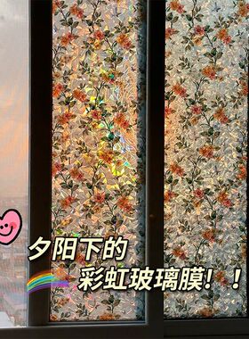 窗户彩虹玻璃贴纸防走光磨砂贴膜透光半透明卫生间防窥隐私玻璃贴