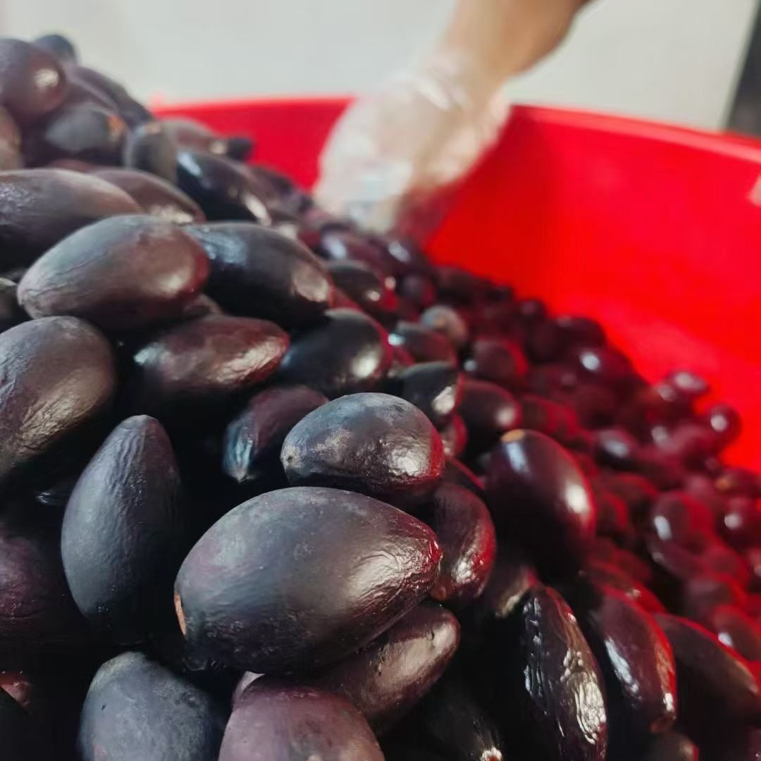 正宗普宁吊思茅乌榄角农家潮汕特产杂咸黑橄榄下饭菜开胃菜配粥,淘宝优惠券,粉丝福利购,淘宝优惠卷