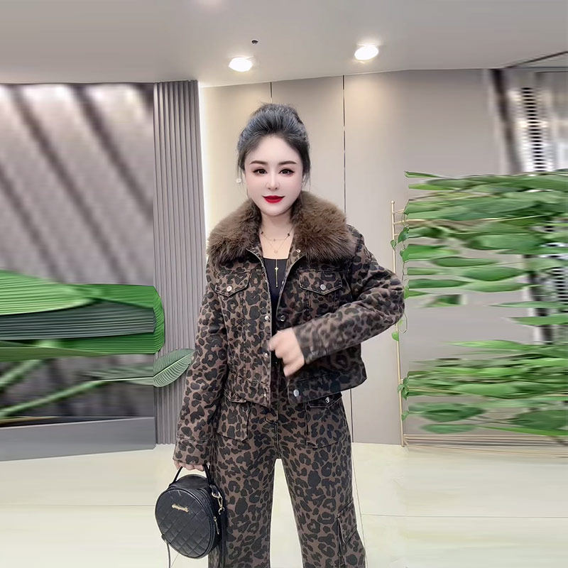 胖妹妹欧洲站毛毛翻领长袖外套阔腿长裤大码女装加厚豹纹两件套潮,淘宝优惠券,粉丝福利购,淘宝优惠卷