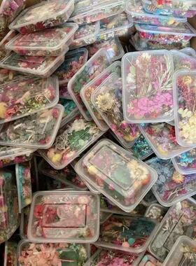 玫瑰干花永生满天星沙龙diy花材