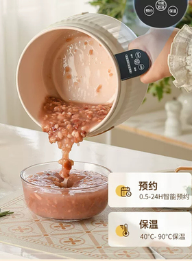 110V电煮锅美国加拿大日本多功能迷你电饭煲学生出国宿舍煮面电锅