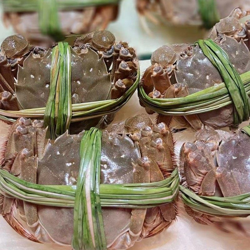 活蟹精品残蟹】固城湖大闸蟹残蟹断脚缺腿蟹促销4-3两鲜活螃蟹4只,淘宝优惠券,粉丝福利购,淘宝优惠卷