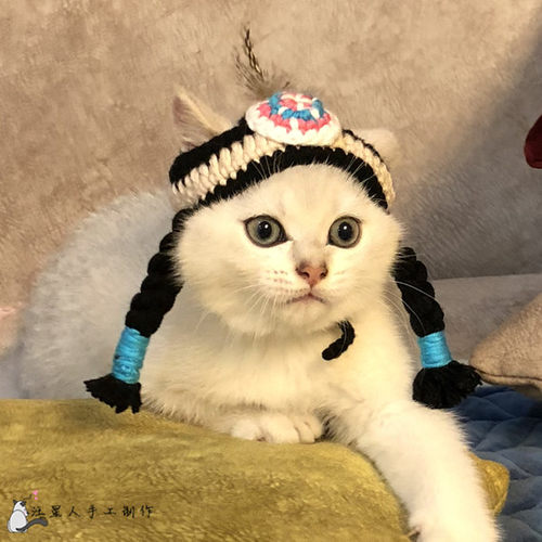 宠物搞笑帽子饰品 土著人印第安人头饰 猫咪头套拍照抖音道具 - 图1
