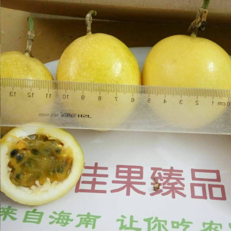 黄金海南三亚特产新鲜黄色百香果图片_1
