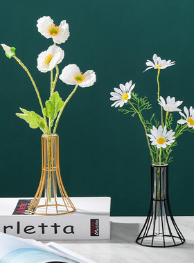 铁艺花瓶摆件试管透明玻璃创意家居客厅干花瓶水培插花装饰品