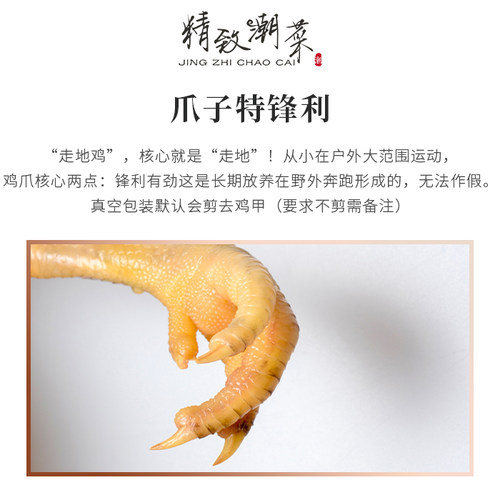 精致潮菜谷饲土鸡皮脆肉香骨硬走地鸡 熟肉 潮汕优选土鸡顺丰航空 - 图2