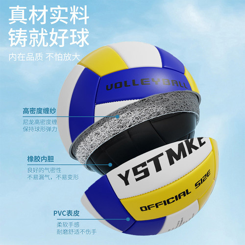 骆泰排球中考学生专用软式5号高弹不伤手初中小学儿童比赛气排球 - 图1