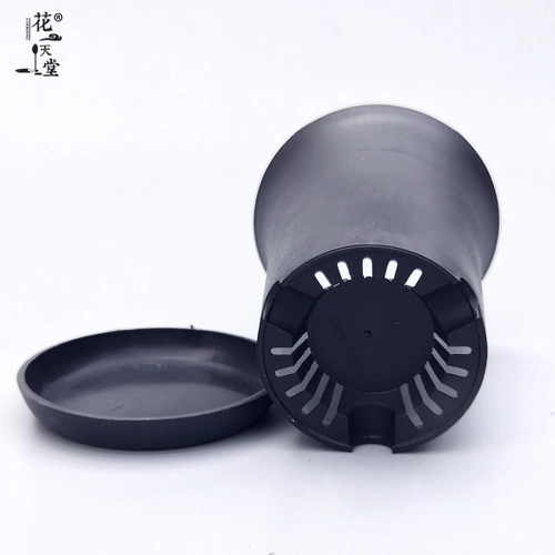 Poly -flesh -Elegant Pot Круглый пластиковый цветочный горшок с высоким уровнем высокого уровня, старый палипот нефритовый вентилятор нефрита Jade Dew Twelen -Colum