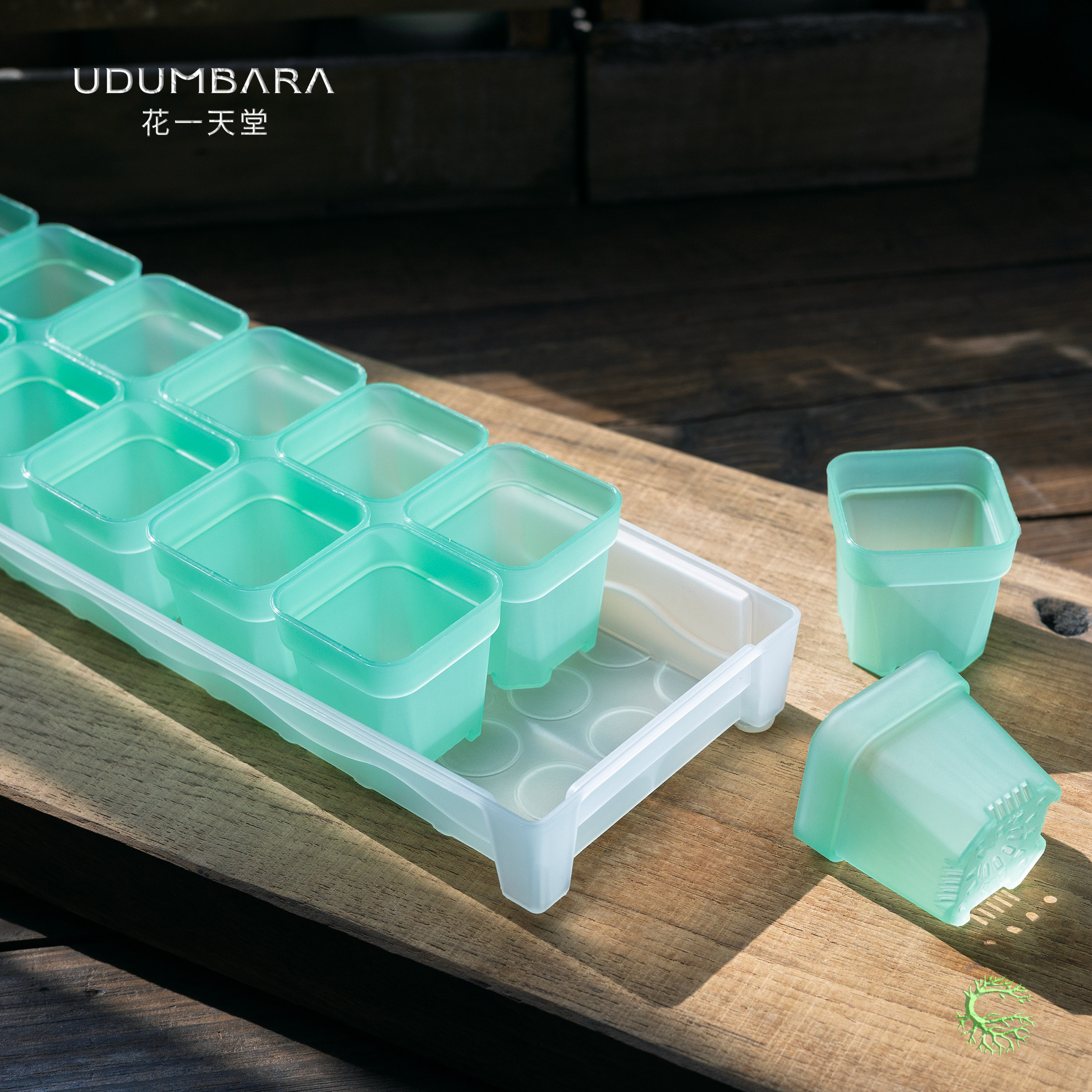 花一天堂加厚5口径半透塑料多肉花盆窗台接水长方形托盘浸盆组合,淘宝优惠券,粉丝福利购,淘宝优惠卷