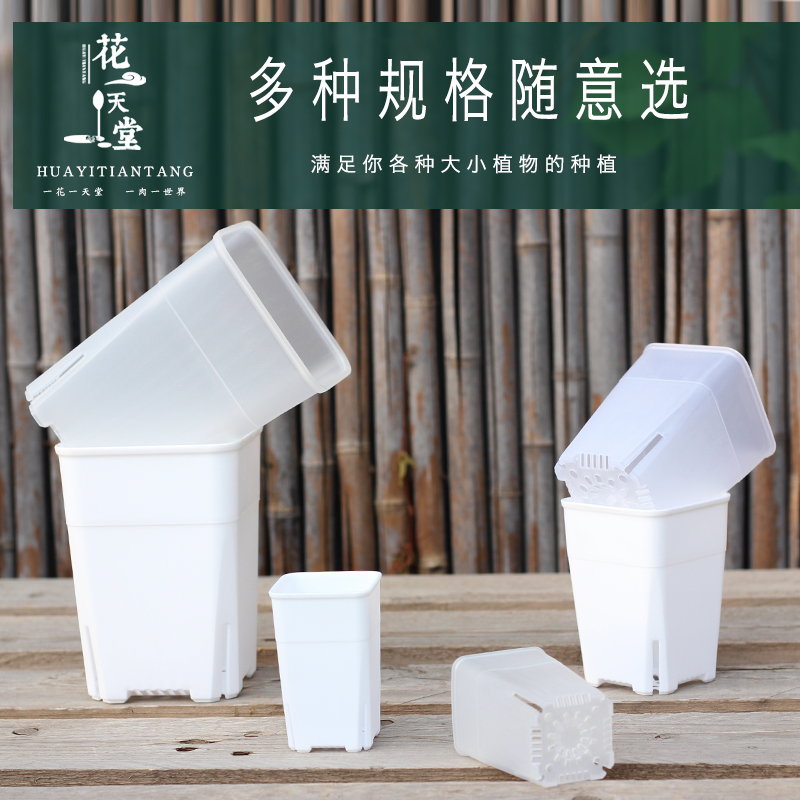 多肉塑料方高盆迷你侧开口控根多规格万象玉露块根仙人球番杏花盆,淘宝优惠券,粉丝福利购,淘宝优惠卷