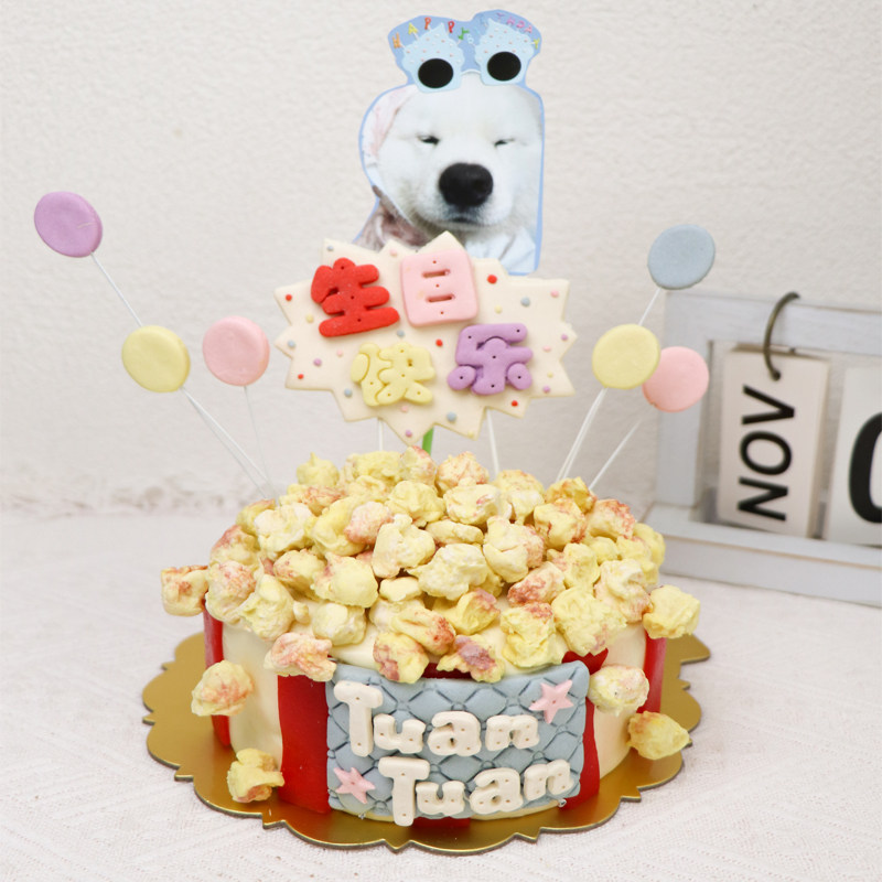 宠物狗狗猫咪生日蛋糕纯手工无添加金毛柯基比熊泰迪蓝猫布偶暹罗,淘宝优惠券,粉丝福利购,淘宝优惠卷