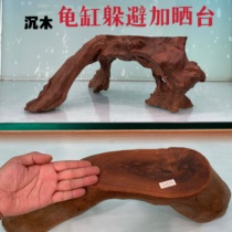 Tortoise Cylinder Sundae Shelter From Sunken Wood Natural View Wood Turtle Sunstand Sun-Back Purple Grapefruit Fish Tank Build-Free To Cook