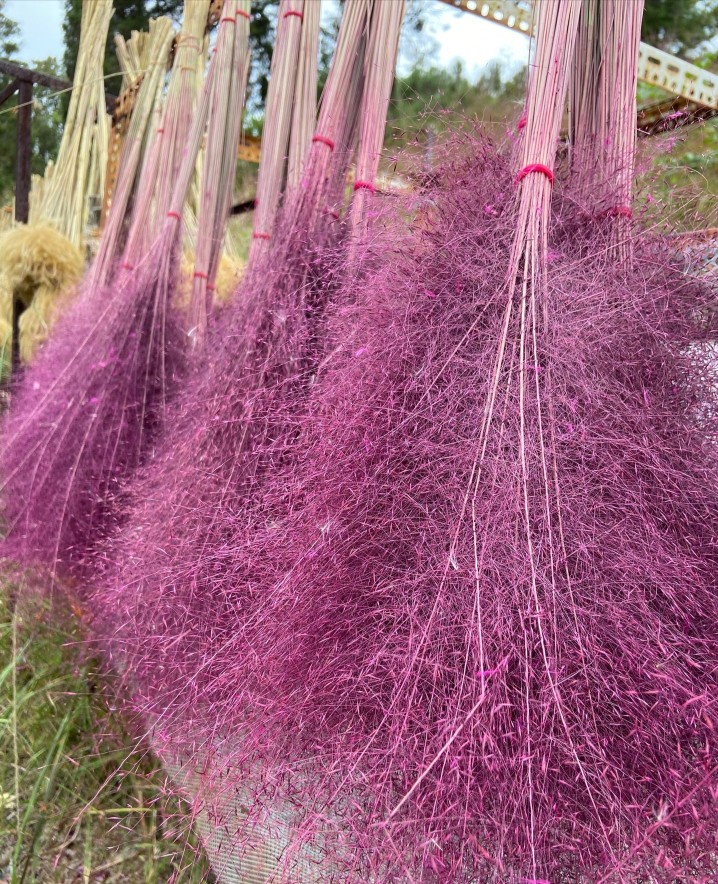 粉黛乱子草永生花云南干花家居景观装饰花仙女草网红蚊子草 - 图1