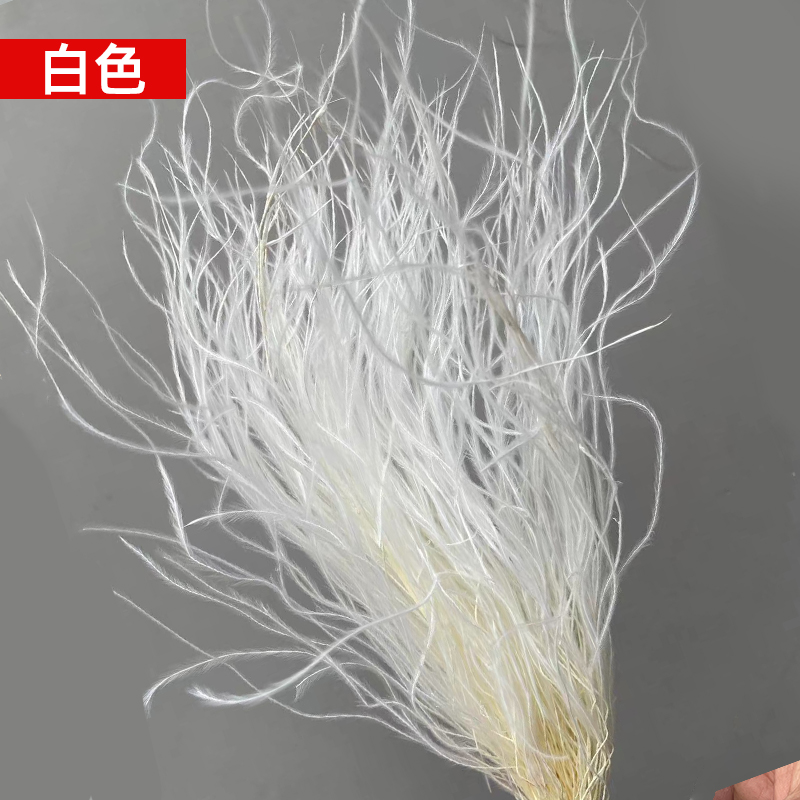 永生羽毛草花束仙女草干花家居婚庆装饰DIY材料拍摄道具梦幻草 - 图3