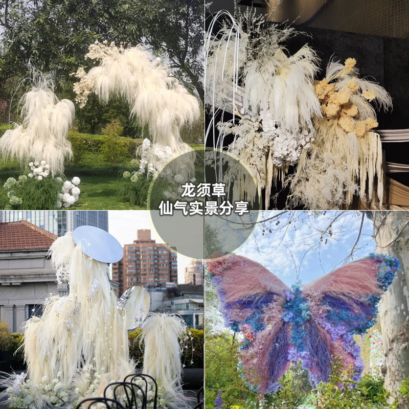 永生花梦幻龙须草干花婚庆礼装饰软装网红活动花艺素材悬挂仿真花