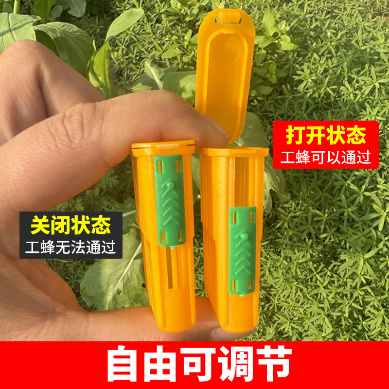 新款中蜂囚王笼蜜蜂控王笼介王笼多功能邮寄王笼意蜂王笼养蜂工具 - 图1