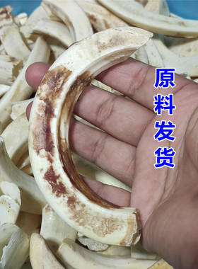 民族藏饰獠牙关公摆件野猪牙原料可做吊坠镶嵌文玩男士项链