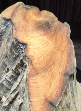 台湾桧木原木墩子天然木桩实木自行diy创作小摆件挂件等