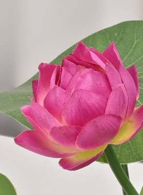 仿真荷花 客厅家居佛堂池塘鱼缸摆件小莲花塑料假花睡莲仿真花束