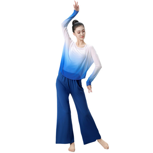 新款舞蹈裤古典舞练功服女飘逸阔腿裤现代舞专业训练服中国舞服装 - 图3