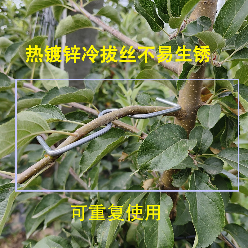 果树拉枝器定型器拿弯器梨树树枝拉直压弯开角别枝神器苹果樱桃树_虎窝淘