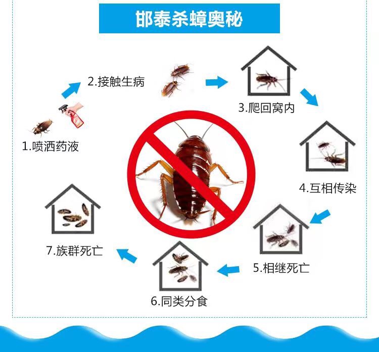 天津蟑螂哥邯泰杀蟑喷雾剂（和平区线下销量过千一只吃药传染一窝 - 图1