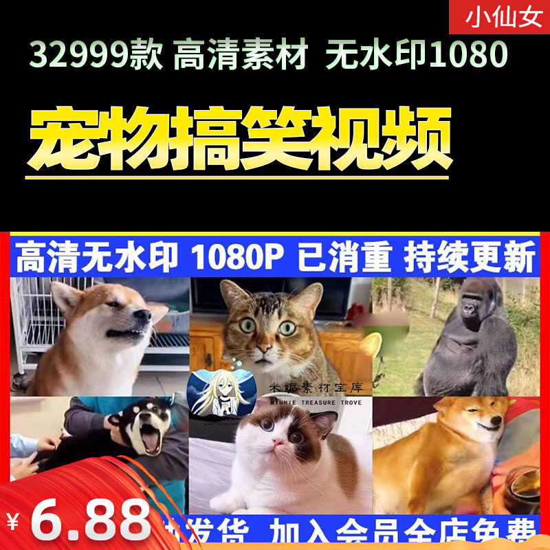 猫配音 新人首单立减十元 22年7月 淘宝海外
