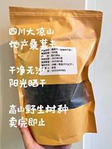 500g No Add to the sundry no sand The great cold mountain grain with full taste sweetness and sweet nourish the mulberry dry mulberry