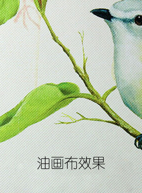 洗照片冲打印油画布6寸7 8 10 12 16 20 24 30 32寸8K4开A4A3相纸