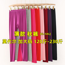 Step up code middle-aged lady sanitary pants modale gattening elastic high waist deep gear beating bottom sanitary pants with single loose thin section