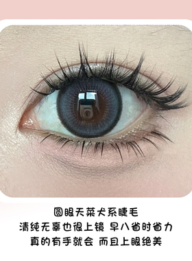 韩系分段式懒人新手向网红假睫毛