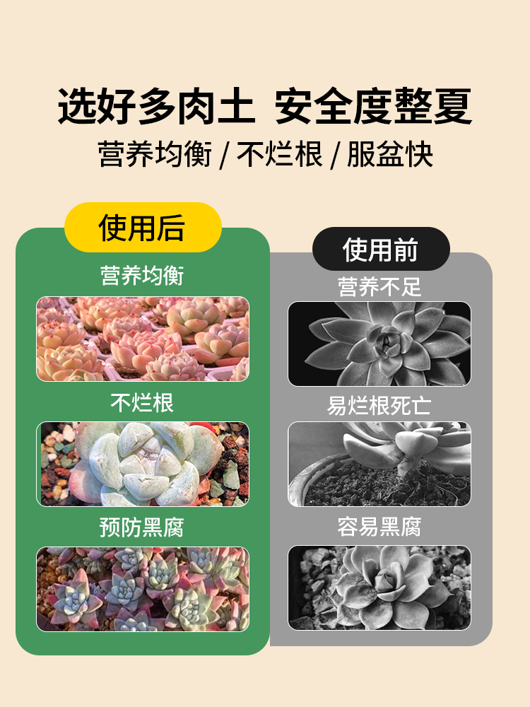 船长多肉专用营养颗粒土泥炭花土种植室内盆栽通用栽培土壤铺面石 - 图1