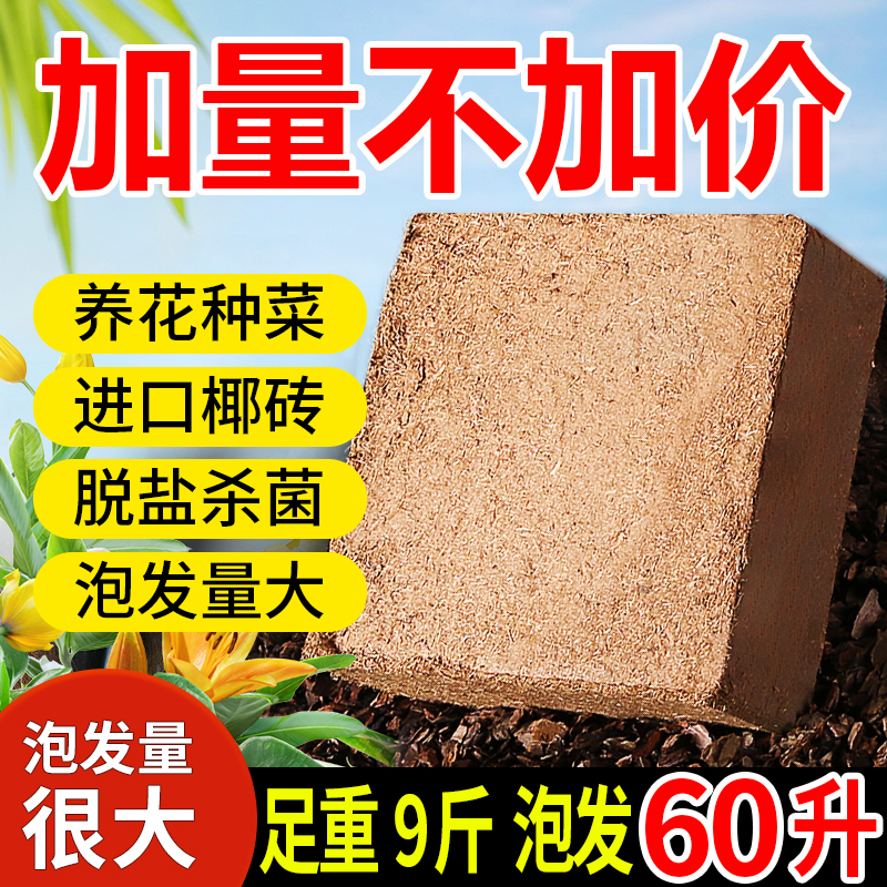 进口椰糠椰砖营养土通用型种菜土壤脱盐无菌大块耶砖压缩养花专用 - 图2