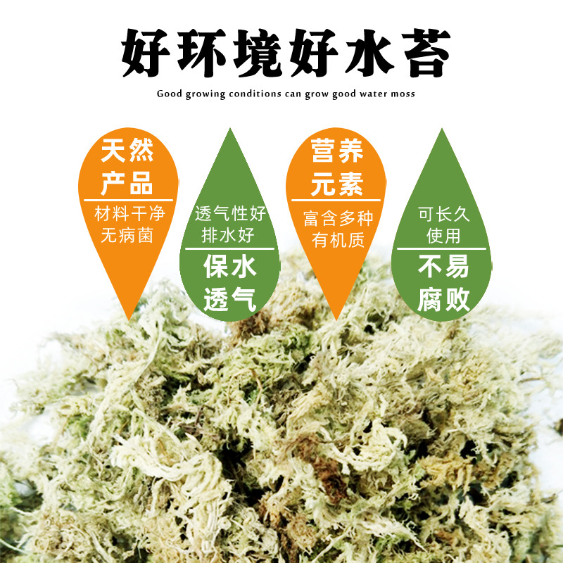 水苔包邮蝴蝶兰花专用营养土无菌智力干水苔兰花无土栽培介质花土-图1