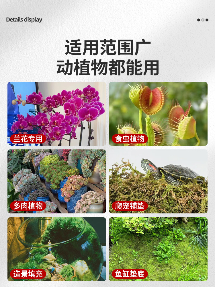 蝴蝶兰水苔兰花专用土干苔藓智利营养土青苔植物种植育苗乌龟冬眠 - 图3