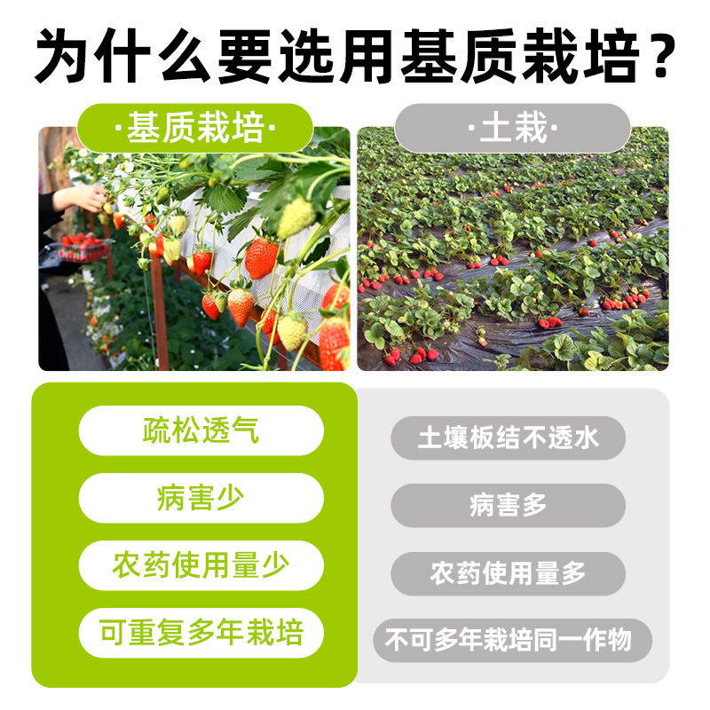 无土栽培基质楼顶阳台种植土营养土草莓专用土种植土盆栽土60升-图2