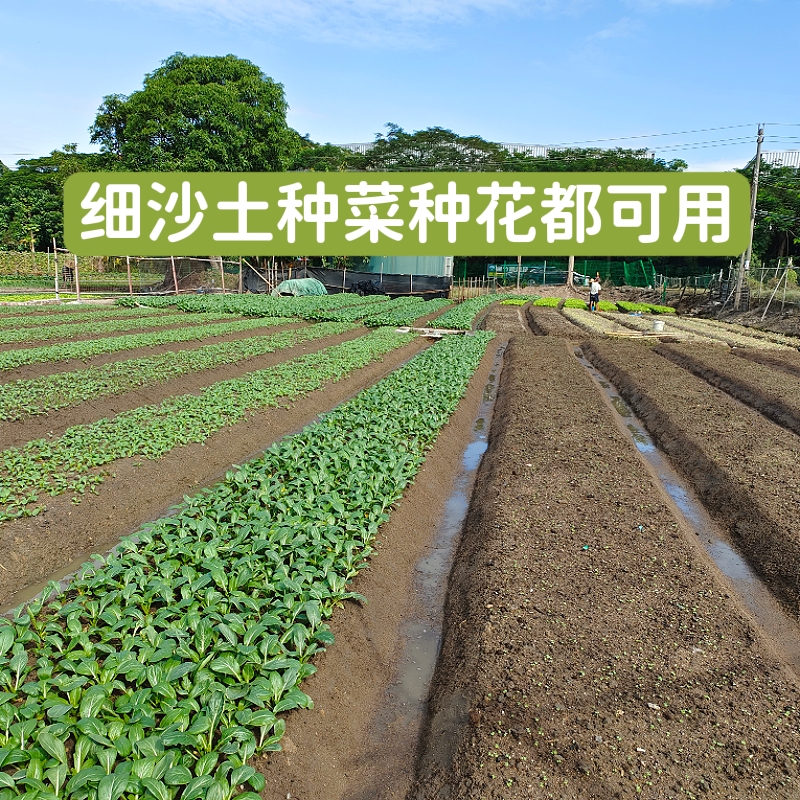 天然沙土沙壤土种菜养花盆栽花卉专用种植土细沙土沙土搭配营养土 - 图2