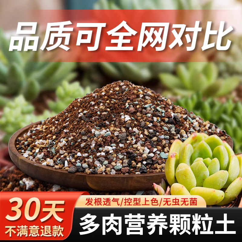 多肉颗粒土多肉专用营养土壤种植栽培泥炭铺面石植物纯颗粒花土 - 图2