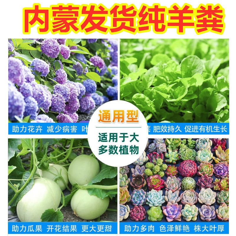 内蒙发货纯羊粪发酵有机肥料腐熟无臭家用种菜养花大袋批发营养土-图1