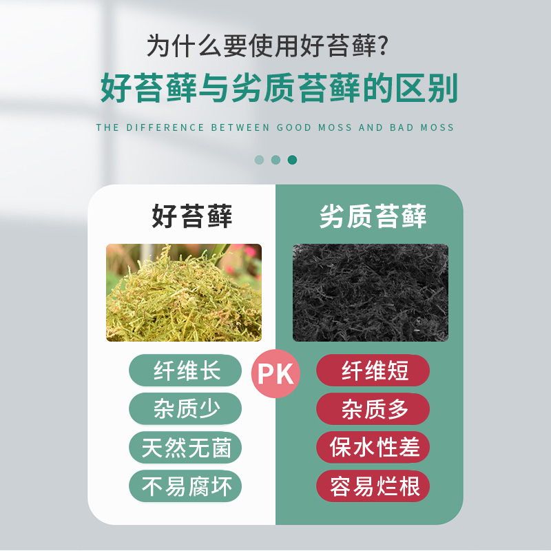 干苔藓水苔纯天然青苔兰花蝴蝶兰专用营养土爬宠乌龟垫材石斛种植 - 图0