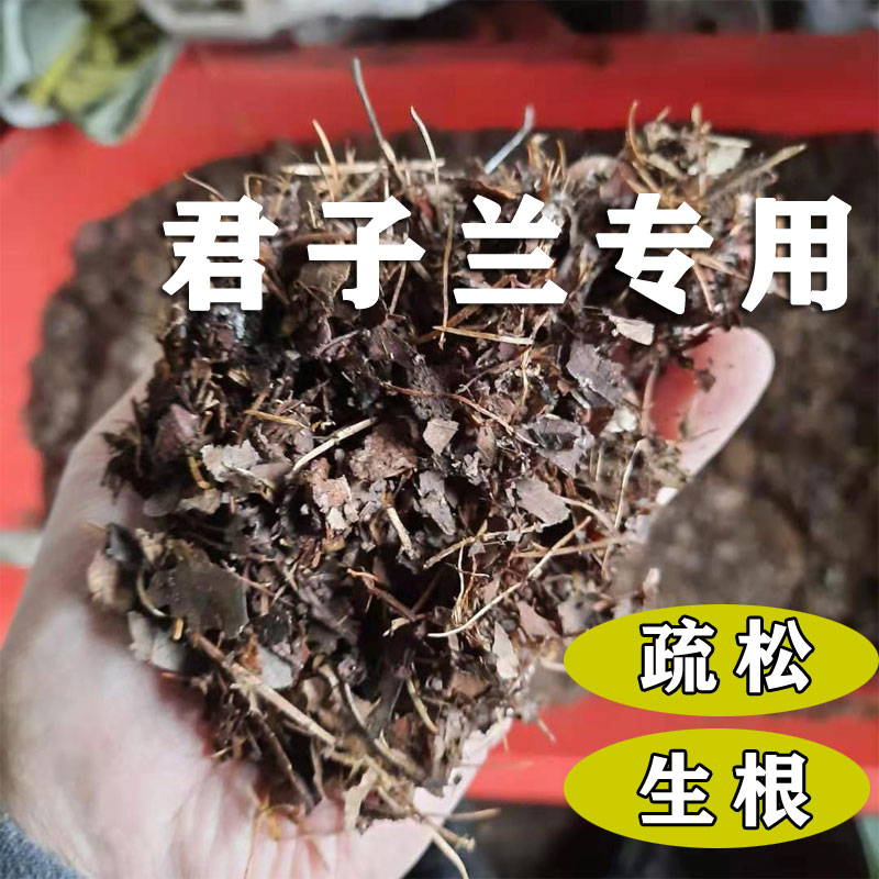 腐熟天然纯橡树叶君子兰专用有机腐叶土腐熟纯松针兰花专用营养土-图2