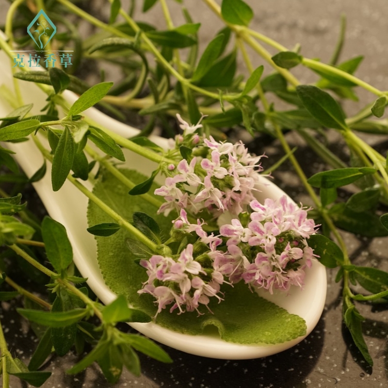 杰克百里香可食用多年生香草植物盆栽克拉香草烹饪爆花地被绿化-图2