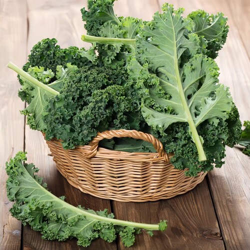 羽衣甘蓝可食用蔬菜植物盆栽克拉香草低热量轻食减脂饮品沙拉新宠 - 图2