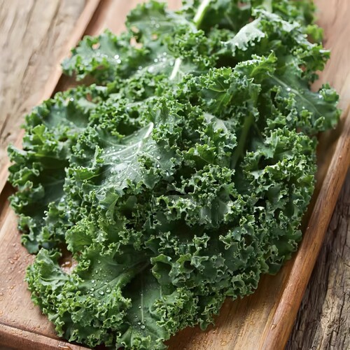 羽衣甘蓝可食用蔬菜植物盆栽克拉香草低热量轻食减脂饮品沙拉新宠 - 图3